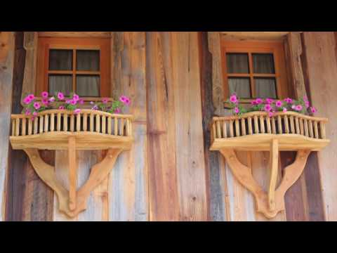 PROMI ALM & ALMDORF FLACHAU  im Sommer