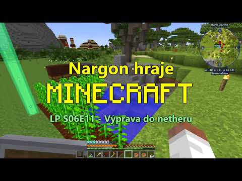 LP S06E11 - Výprava do netheru