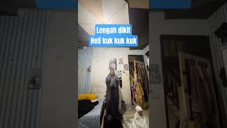 Download lagu heli kuk kuk kuk🤣 #lucu #lucuabis #lucubanget #videolucu #lucungakak #shortvideo mp3