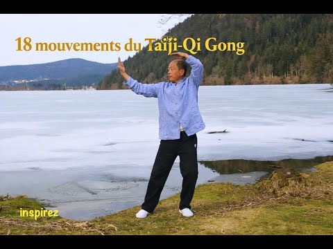 Les 18 mouvements du Tai Ji Qi Gong : The 18 Movements of Tai Ji Qi Gong