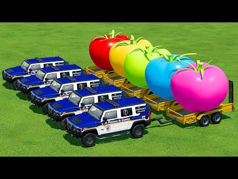 LOAD AND TRANSPORT GIANT TOMATOES WITH AMBULANCES - Farming Simulator 22