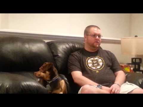 Abington Ma Basement Finishing Review - Lux Renovations