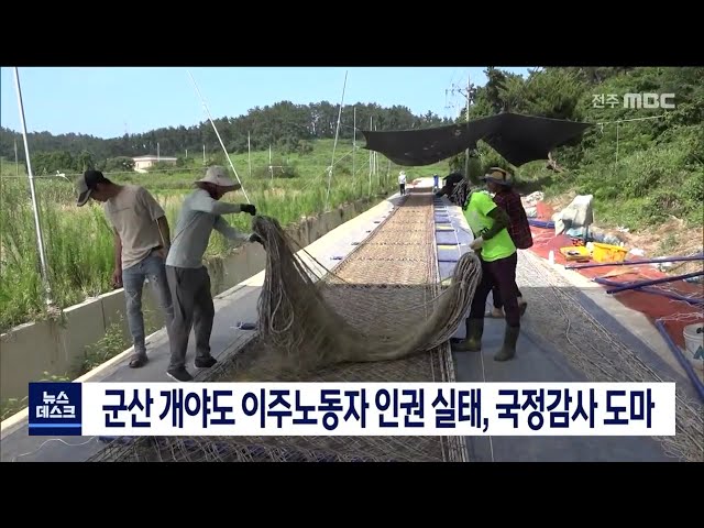 개야도 이주 노동자 인권 실태 국감