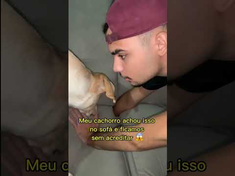 MEU CACHORRO ACHOU