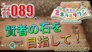 真ほのぼのプレイ 『牧場物語 再会のミネラルタウン』 #089