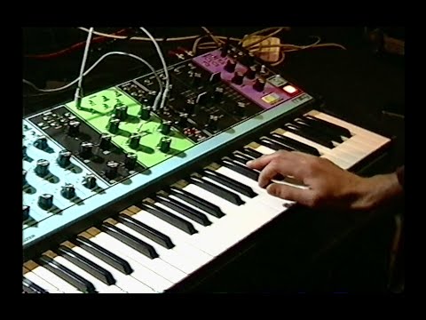 moog matriarch demo