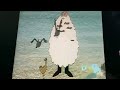 Sesame Street Consonant Sounds B Beard