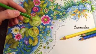 SECRET GARDEN | The Magical Water Lily Pond | Coloring With Colored Pencils