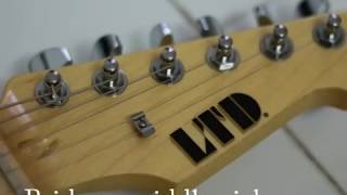 Video thumbnail for [Demo] ESP LTD ST-213 ASH by Nhat Dong Nguyen