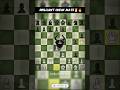 Brilliant Check Mate Shorts Ytshorts Chess Fyp