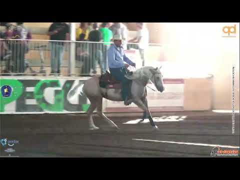 2 show CRHA 2022 - RIBICHINI VALERIO MARIA & RVM BLOND DIAMOND score 66,5