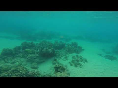 Girls' Trip to Maui: Snorkeling