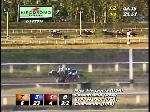 7MA CARRERA DEL  DOMINGO 14  DE FEBRERO DE 2016