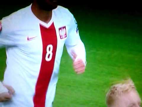 Polska Irlandia 1:0 Grzegorz Krychowiak gol
