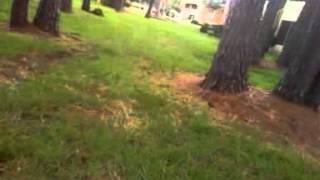 I'M RIDING AROUND N I'M GETTING IT!!