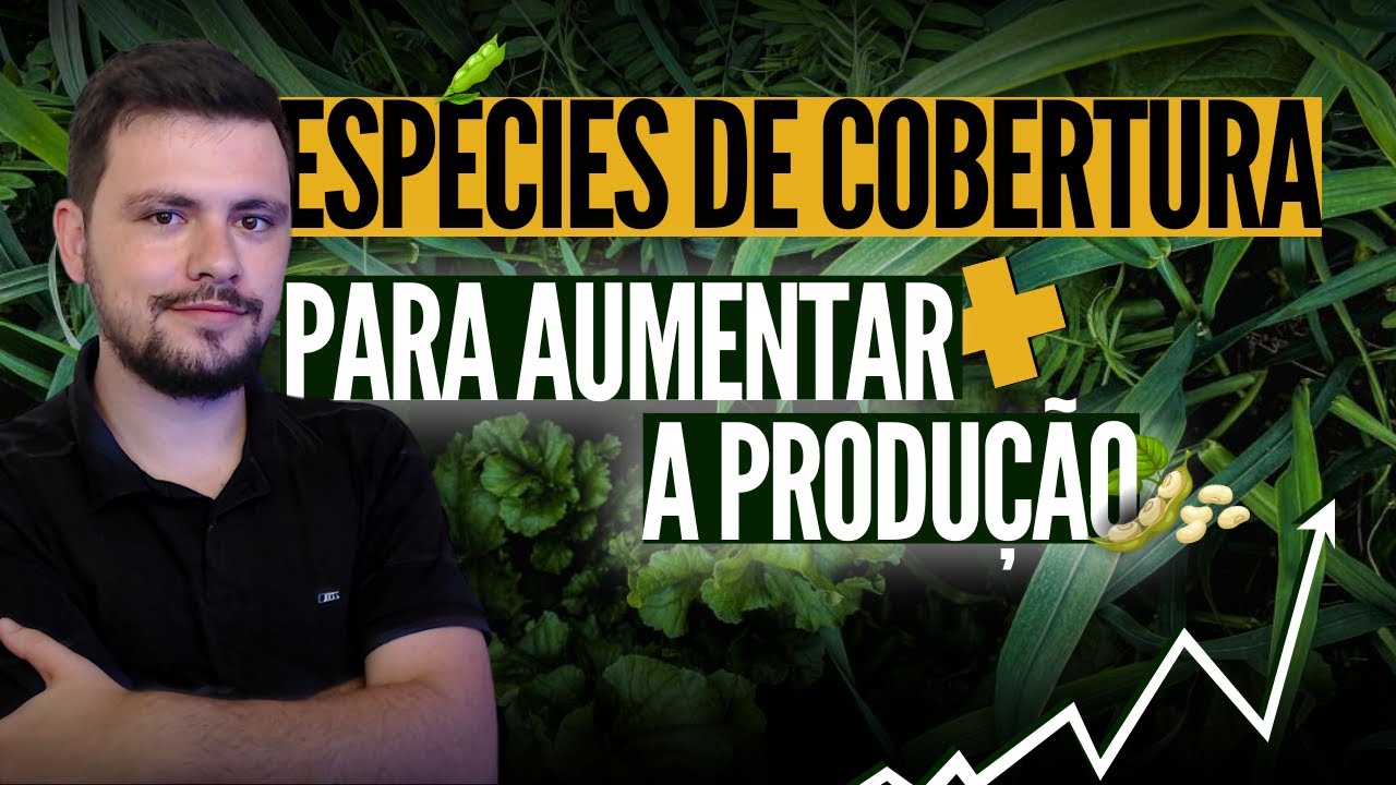 Espécies de Cobertura para Aumentar a Produção de Soja