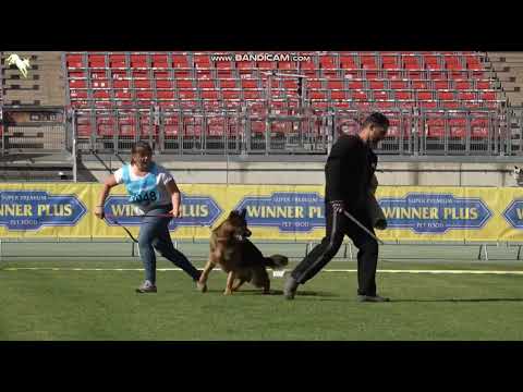 1048 Connor von Team Cohinor - TSB BSZS-2023