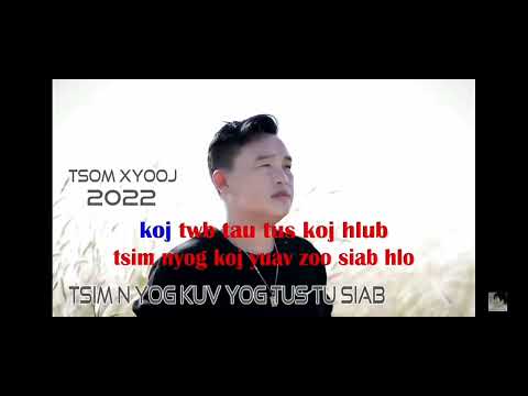 tsim nyog kuv yog tus tu siab tsom xyooj karaoke 2023