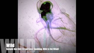 Wild (Esperanza Spalding, Wild is the Wind)