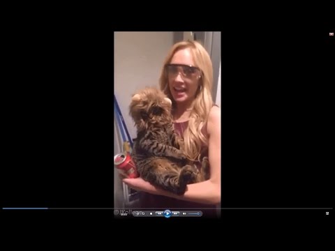 03-29-17 Kat Timpf on Facebook Live - Cheens Is The Champion!