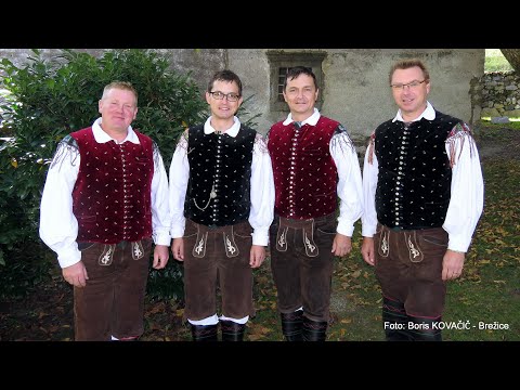 Ansambel Bitenc - Točajka