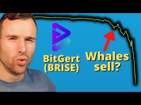 Why Bitgert is up ⚠️ BRISE (BitRise) Crypto Token Analysis