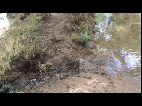 Springs running into Colorado river