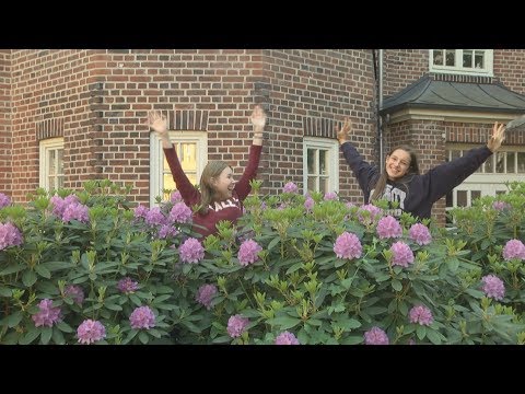 SchnappFisch - Highlights 2018 in 40 Sekunden