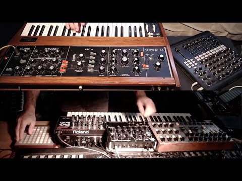 skinnerbox live quarantine 7 with Q&A (moog , jx3p, ableton)
