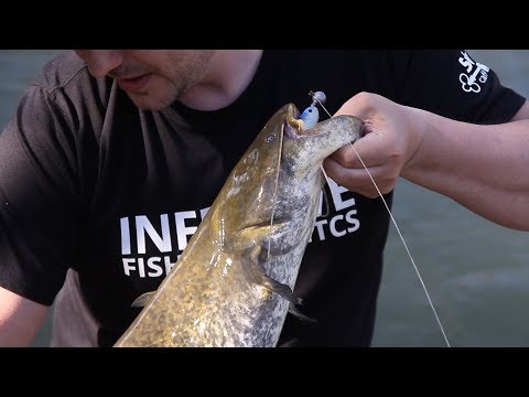 Hooked On - Som na gumu - Zapadna Morava