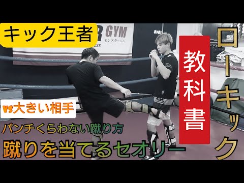 vol.4 キック王者【ローキック】の教科書！《蹴り方ではなく》◯◯をするだけで、ビックリするほど『倒せるローキックに進化！』