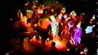 The Fuzztones.  Pushin To Hard. Irving Plaza . 01.20.1984.avi