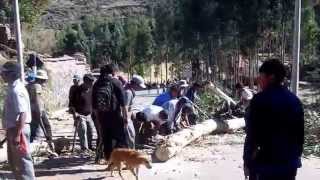 DEFORESTACION EN TIPÓN (Cusco, Perú - Julio 2015)
