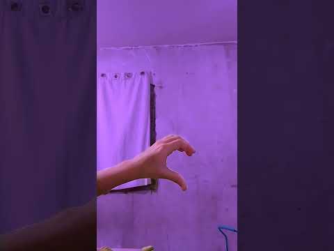 brincando de adoleta