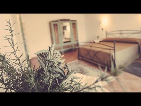 Ca' Nadin Agriturismo, San Damiano dʼAsti, Italy