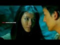 Beauty Tribe 2017 Movie Explained In Hindi Urdu Summarized हिन्दी Izzu Movies Explainer