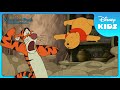 Winnie The Pooh Sneezes The Biggest Sneeze Winnie The Pooh Springtime With Roo Disneykids