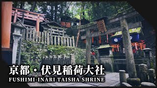 朱色の千本鳥居が立ち並ぶ美しい自然に囲まれた伏見稲荷大社、京都伏見区  l  Fushimi Inari Taisha in Kyoto 【KYOTO FUSHIMI】