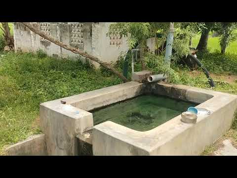  6 Acre Agricultural/Farm Land for Sale in Orathanadu Mukthambalpuram, Thanjavur