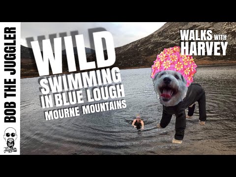 Walks with Harvey - Wild Swimming in Blue Lough, Mourne Mountains