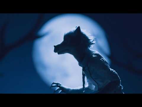 『BEASTARS』OP Wild Side