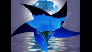 Grup abdal mavilim mavişelim