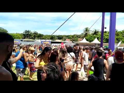 Bug Open Air Pipa 2020