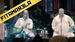 Nega Samambaia Music Video