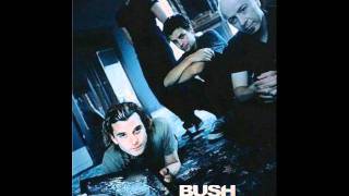 Bush - Solomon&#39;s Bones / B - Side of Sixteen Stone Álbum