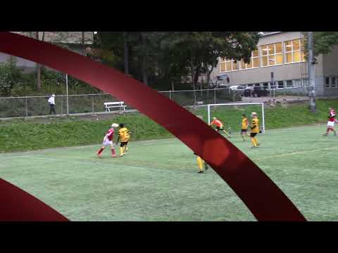 ARKISTO: YKKÖNEN P03 2016 ÅIFK MUSTAKELTAINEN-PIF WHITE