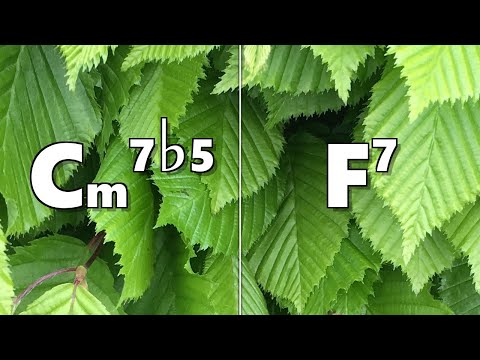 Cm7b5 to F7 Backing Track