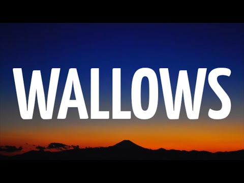 Tommy Docherty - Wallows (Lyrics) [From The Next 365 Days]