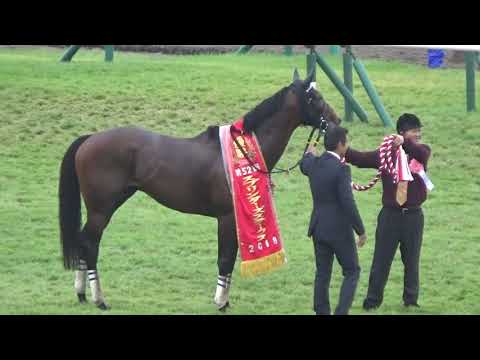 2018 スプリンターズステークス ファインニードル口取り式