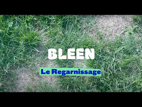 Tuto pelouse : Regarnir sa pelouse